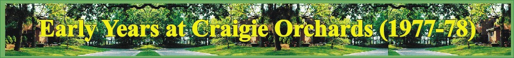 Craigie Orchards
