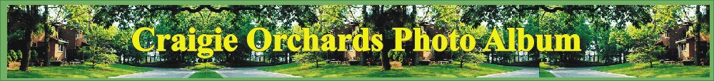 Craigie Orchards